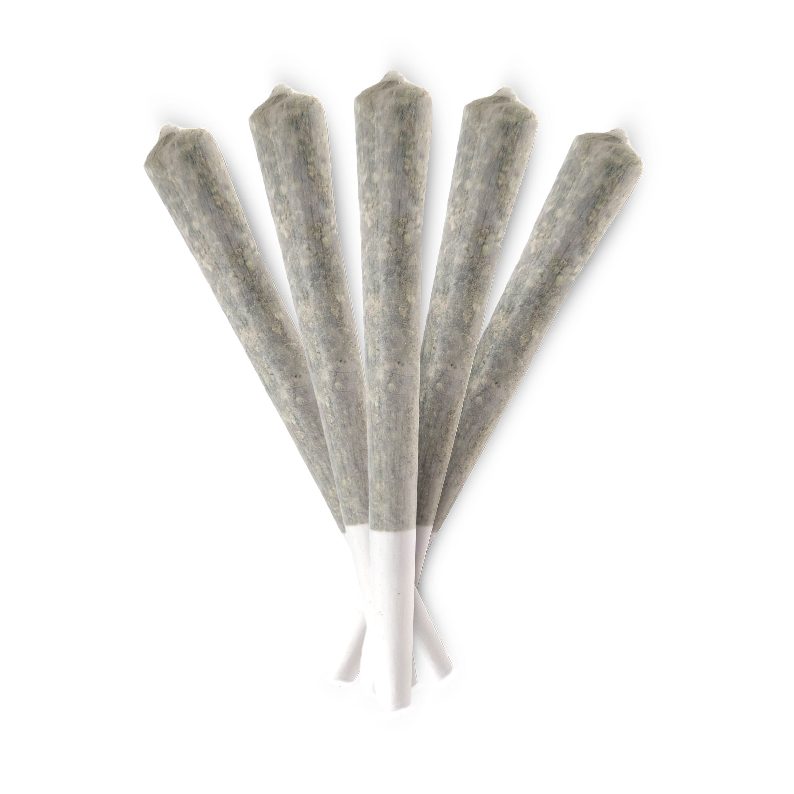 Pre-Rolls at Spliff Nation Dispensary Miami