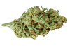 Premium cannabis flower available at Spliff Nation Dispensary.