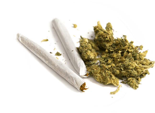 Cannabis buds with pre-rolled joint on white plate, dispensary product.