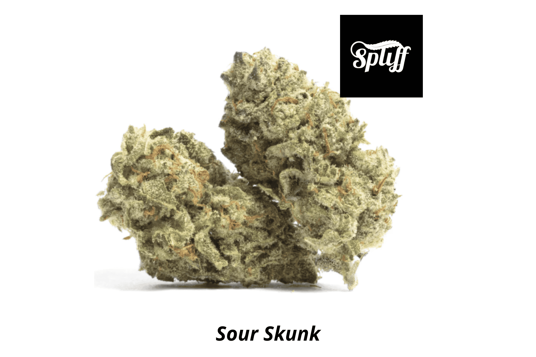 Sour Skunk Cannabis Strain Fresh Sour Skunk cannabis buds for sale at Dispensary.