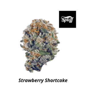 High-quality Strawberry Shortcake cannabis bud for dispensary sales.