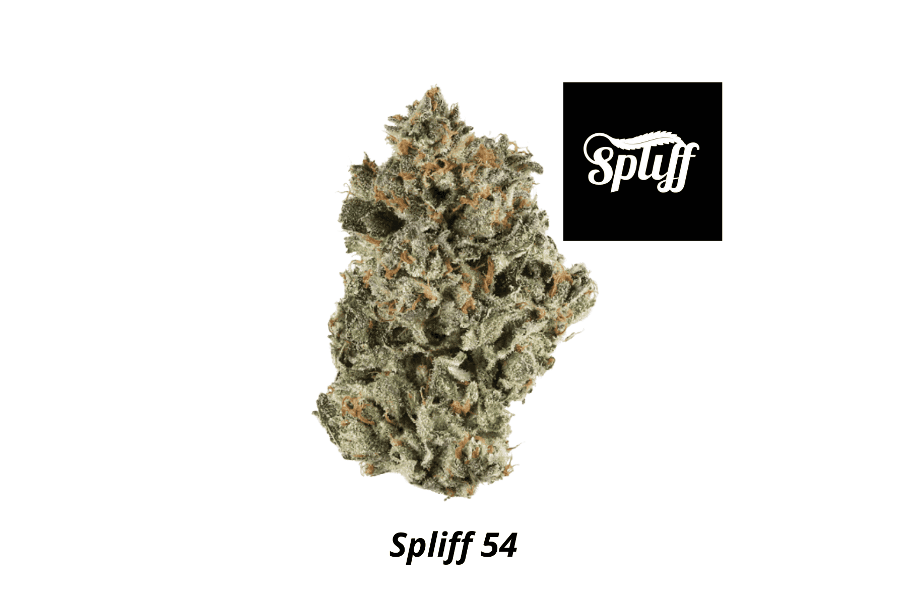 Spliff Dispensary in Miami, FL