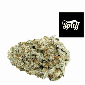 High-quality cannabis flower for sale at Spliff Nation Dispensary in Miami.