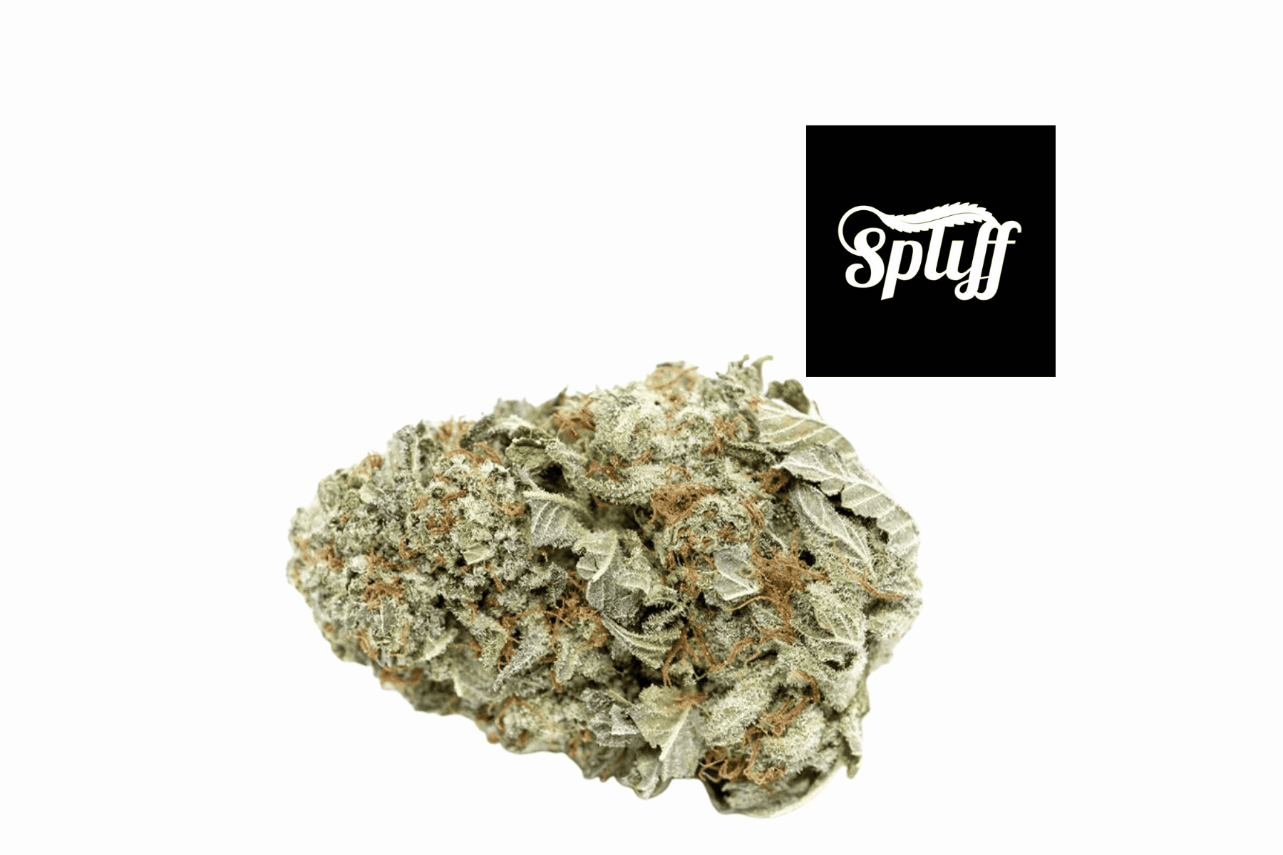 Cannabis Flower at Spliff Nation Dispensary High-quality cannabis flower for sale at Spliff Nation Dispensary in Miami.