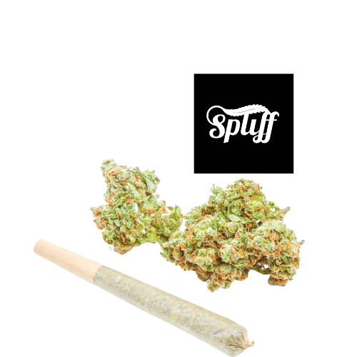 Spliff Nation Dispensary Cannabis and Pre-Roll Cannabis buds and pre-roll at Spliff Nation Dispensary, Miami, FL
