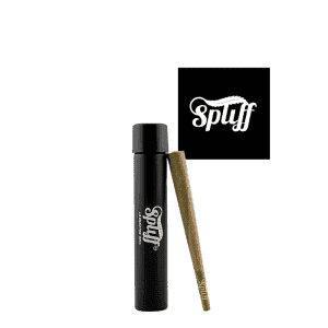 Cannabis pre-roll and lighter at Spliff Nation Dispensary.