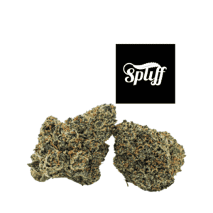 Premium cannabis buds at Spliff Nation dispensary in Miami, FL