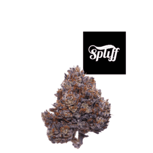 Premium cannabis bud at Spliff Nation Dispensary in Miami, FL