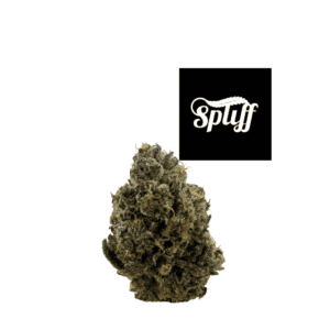 Premium cannabis bud at Spliff Nation Dispensary in Miami, FL