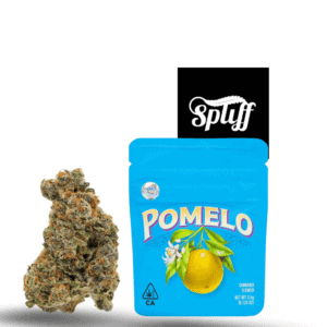 Cannabis bud and Pomelo edible from Spliff Nation Dispensary.