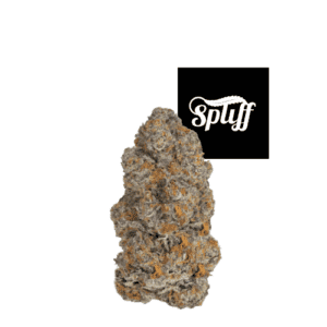 Premium cannabis bud from Spliff Nation Dispensary in Miami.
