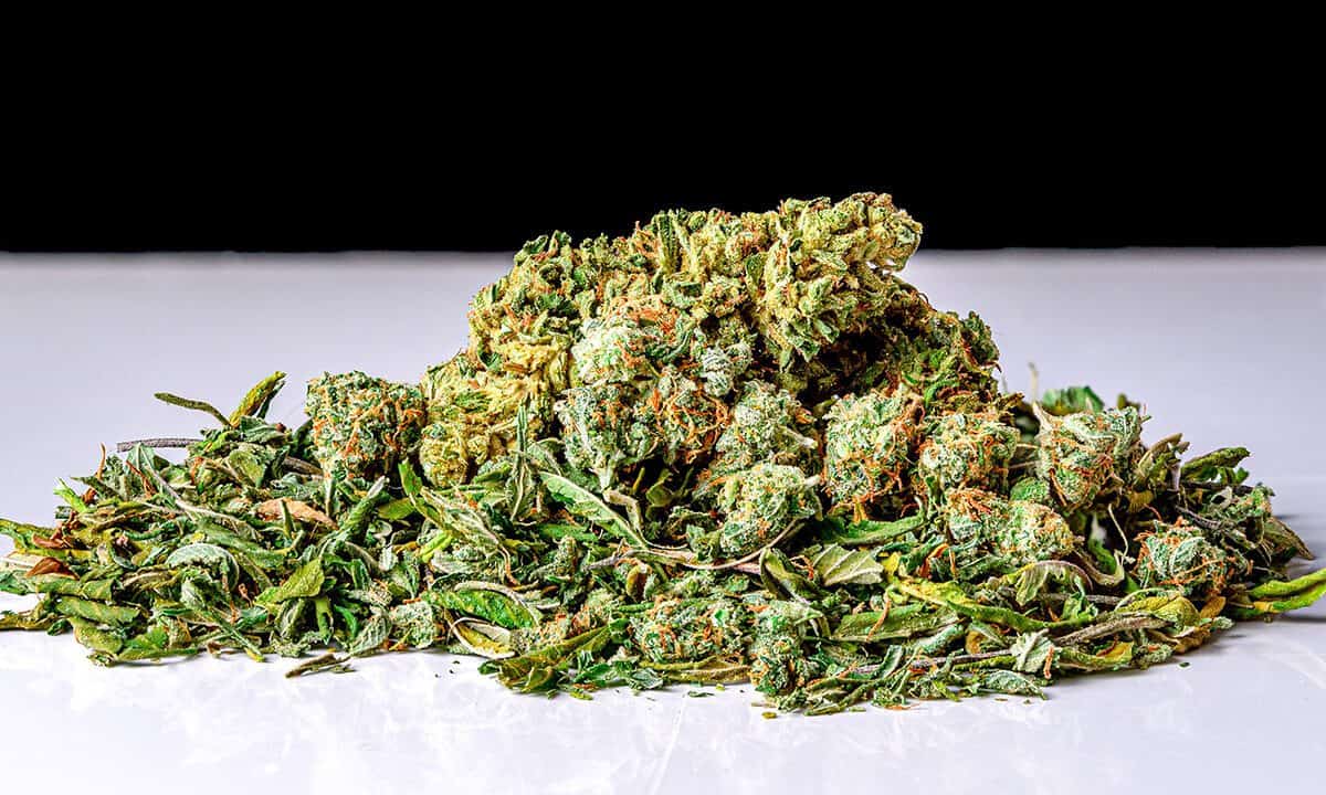 Is It Worth Buying Shake From Dispensary