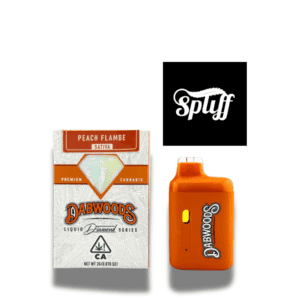 Dabwoods Peach Flambe disposable vape with 2g pod, ideal for cannabis concentrates and flavorful vap.