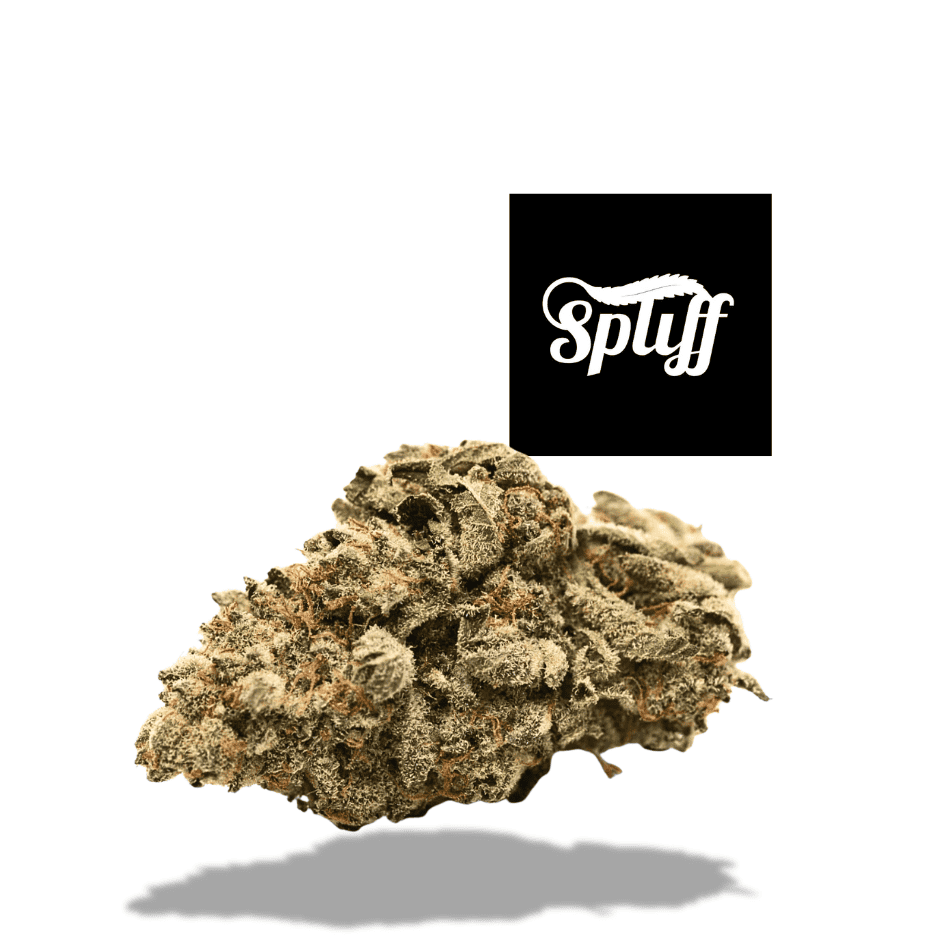 Cannabis Bud at Spliff Nation Dispensary Close-up of cannabis bud at Spliff Nation dispensary, high-quality marijuana flower.