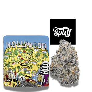 Premium cannabis flower from Cookies in Hollywood, 3.5g package, high-quality and potent.