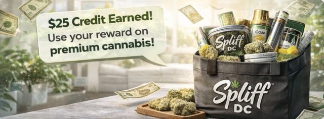 image2 2 | Spliff Nation Dispensary in Miami, FL