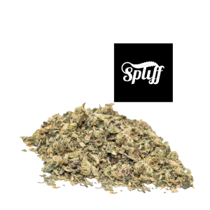 Blue Dream Shake hybrid cannabis flower for sale at Dispensary.