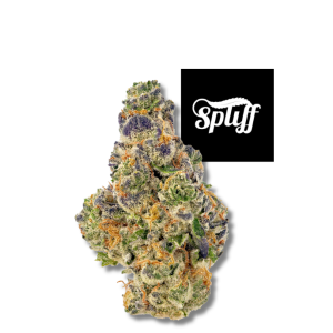 Gumbo hybrid cannabis flower at Spliff Nation Dispensary.