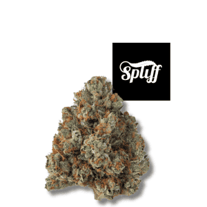 High-quality Khalifa Kush indica flower at Spliff Nation Dispensary.