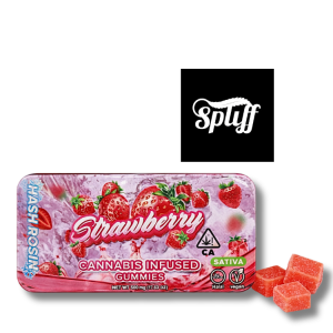 CBD-infused strawberry gummies with hash rosin, perfect for cannabis edibles.