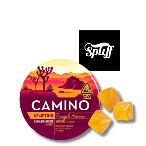 Kiva Camino Uplifting Pineapple Habanero Gummies 100mg THC cannabis gummies with tropical pineapple and mild spice flavor in Miami, FL