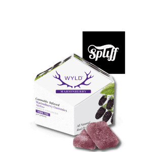 WYLD Marionberry Indica Gummies 100mg THC at Spliff Nation Dispensary Miami, FL