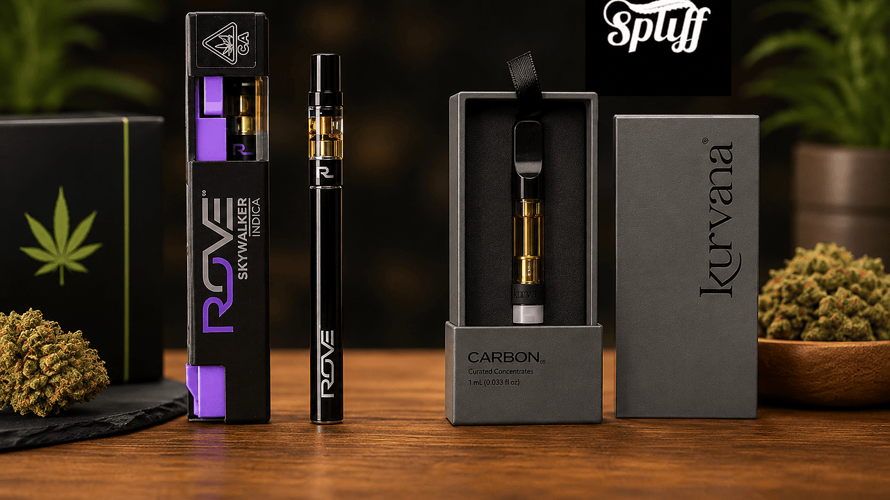 Disposable Vape vs. 510 Cartridge: Which One Should You Buy?
