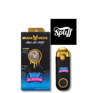 Muha Meds Blue Slushie 2g disposable vape in Miami
